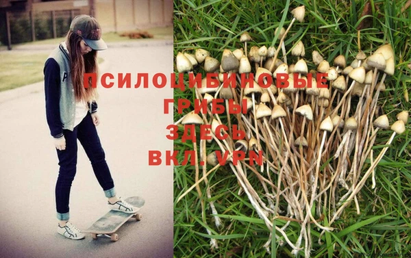 соль курить ск Баксан