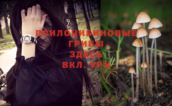 соль ск Балабаново